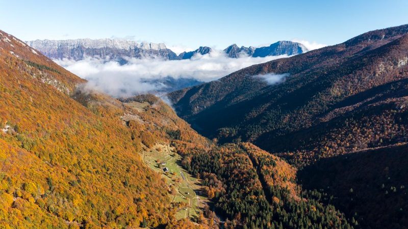 Scopri il foliage del Friuli: cinque itinerari imperdibili nella natura