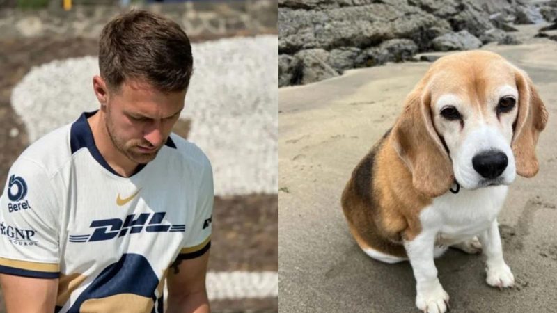Aaron Ramsey ofrece recompensa para encontrar a su perro perdido en México