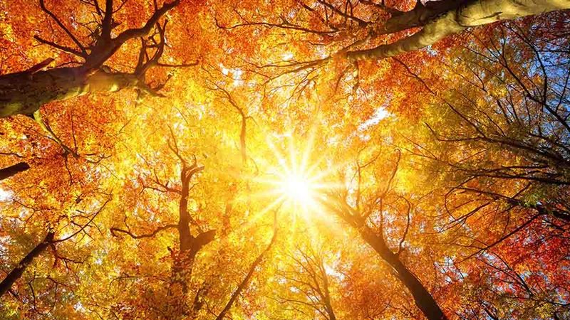 L'Estate di San Martino 2025 si avvicina: previsioni meteo favorevoli