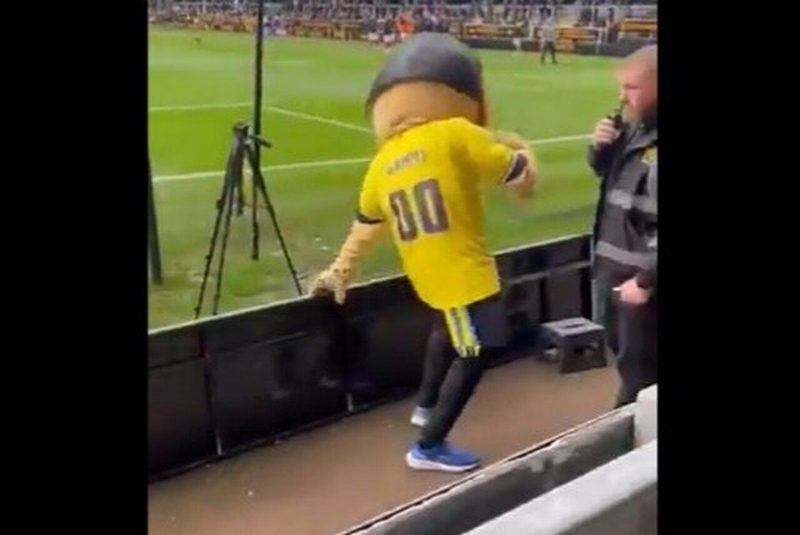 Mascote do St. Albans é expulso após ficar bêbado antes de goleada na Copa da Inglaterra
