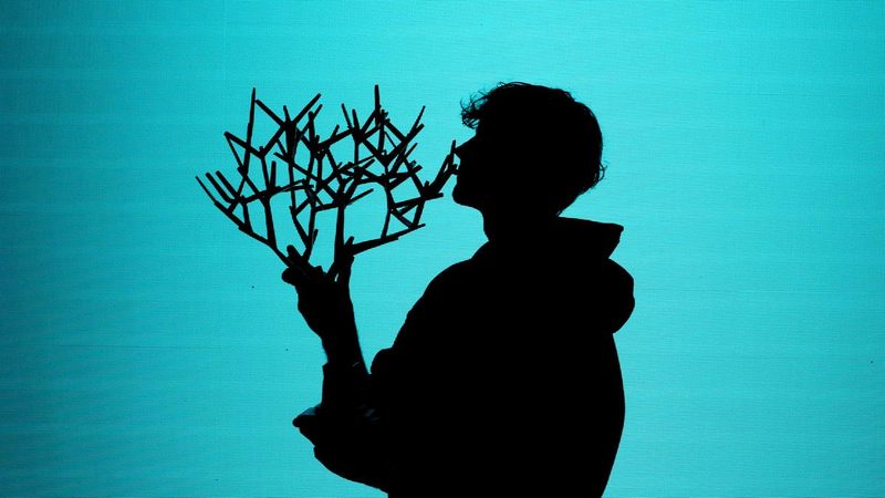 La straordinaria rinascita di Sinner: un autunno da campione