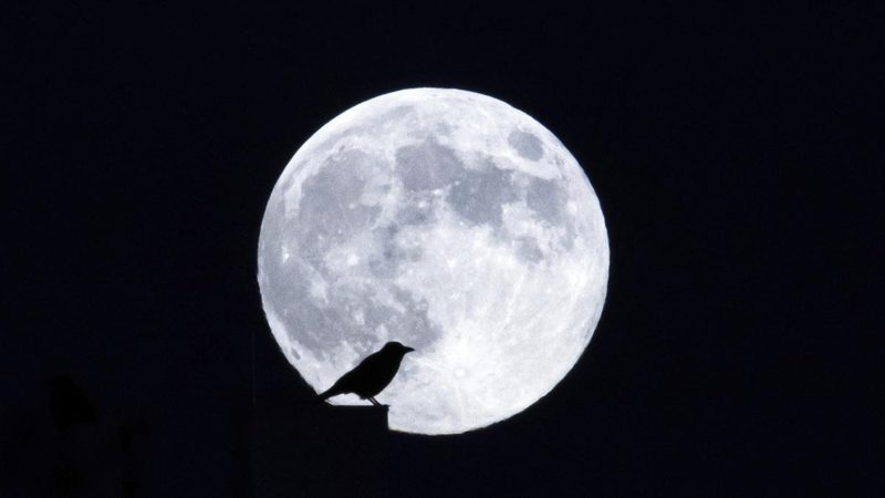 La Superluna del Castoro 2025: un evento astronomico da non perdere