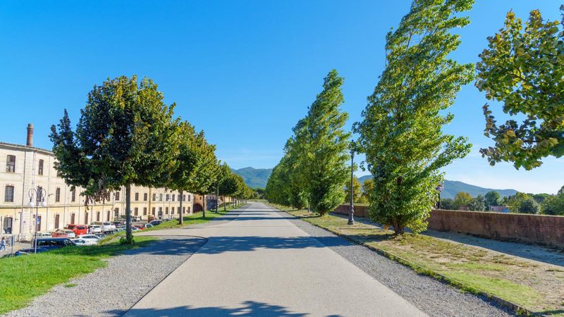 Scoprire l'Italia correndo: itinerari, città e sicurezza per i runner