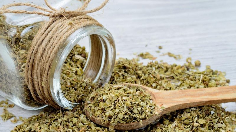 Il segreto dell'origano calabro: un alleato per la salute e le performance sportive