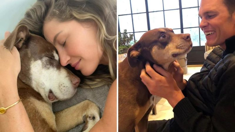 Tom Brady rivela la clonazione del cane Lua: Junie è la sua seconda vita