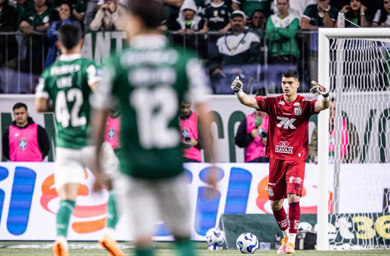 Goleiro Brazão destaca luta do Santos contra rebaixamento até o fim do Brasileiro