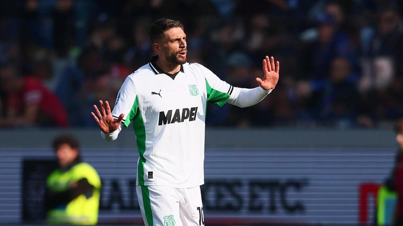 Berardi e il delfino Mimmo: la scelta della bellezza nella laguna di Venezia