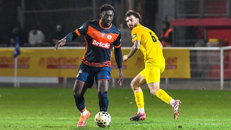 Le MHSC brille à domicile, l'ASBH triomphe face à Dax et le MHR défie le Stade Français