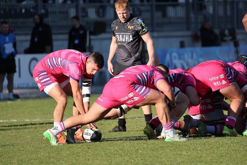 Le Zebre Parma cercano un'impresa contro Pau negli ottavi di Challenge Cup