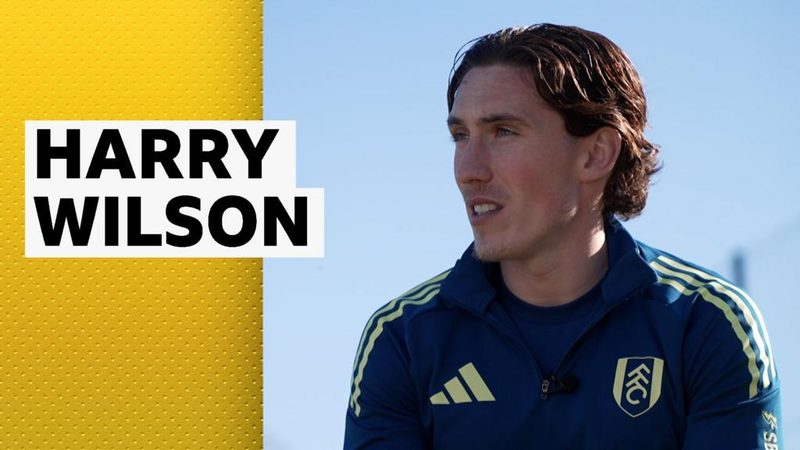 Harry Wilson Discusses Impact of Marco Silva and Fulham's Premier League Journey
