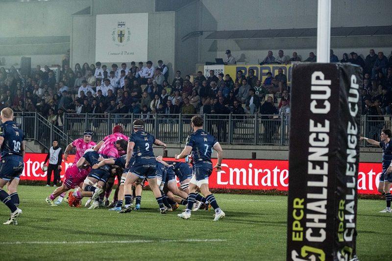 Le Zebre cedono ai Dragons: il sogno europeo finisce ai quarti di Challenge Cup
