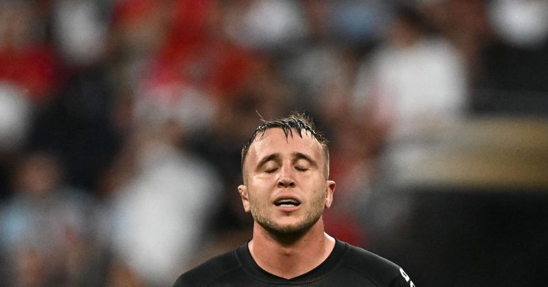 Le Stade Toulousain : Anthony Jelonch sérieusement touché avant le quart de finale