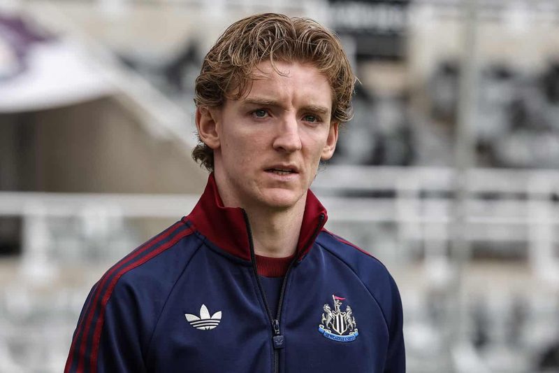 Neue Entwicklungen um Anthony Gordon: Bayern könnte Chancen wittern