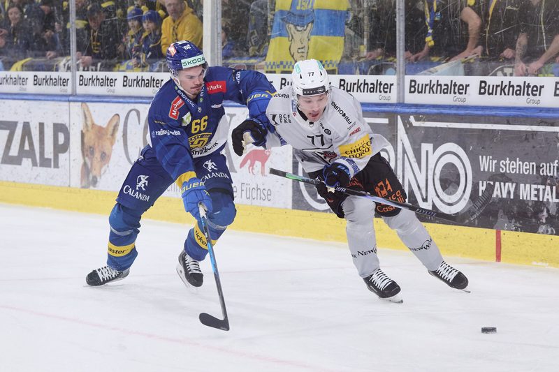 Spannung pur im Playoff-Final: HC Davos trifft auf Fribourg-Gottéron