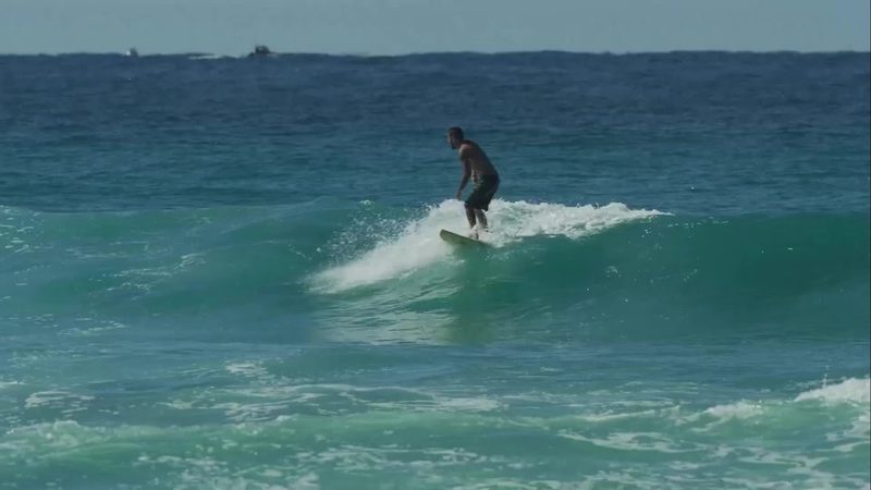 Momento mágico: Filipe Toledo surfa com golfinhos em Gold Coast e celebra conexão especial