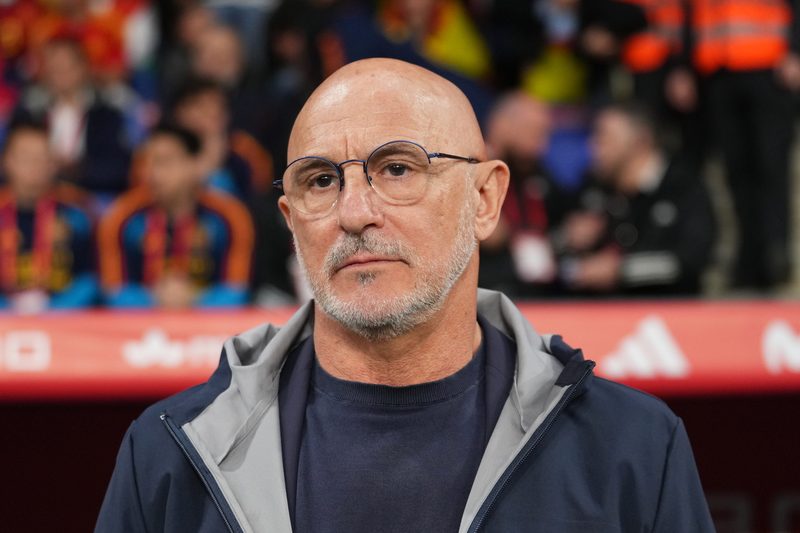 Luis de la Fuente Declares Spain Among Favorites for 2026 World Cup