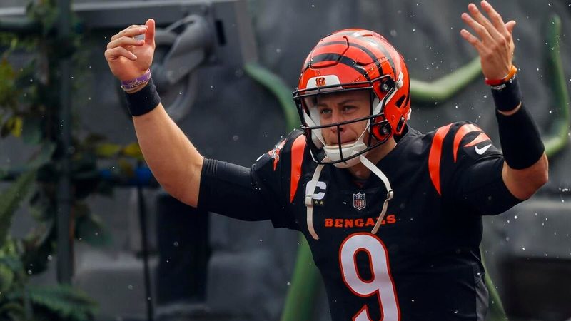 AFC North Predictions: Bengals Rise, Ravens Struggle, and Browns Eye a Turnaround