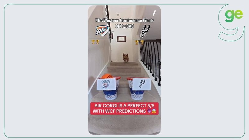 Corgi se torna sensação por prever resultados da série entre Spurs e Thunder