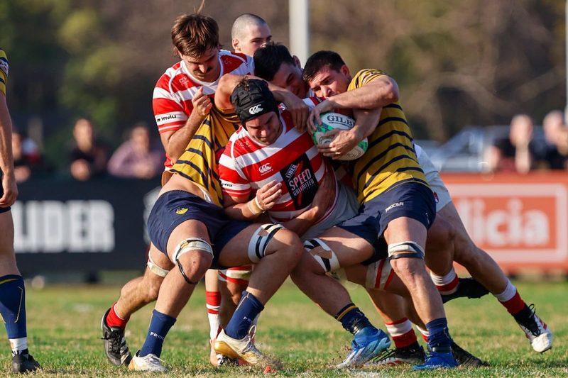 Alumni se impone a Regatas Bella Vista y se acerca a los líderes del Top 14