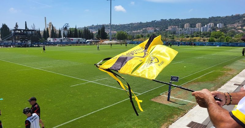 Le Stade Montois rugby : Une composition d'équipe décisive avant l'access match