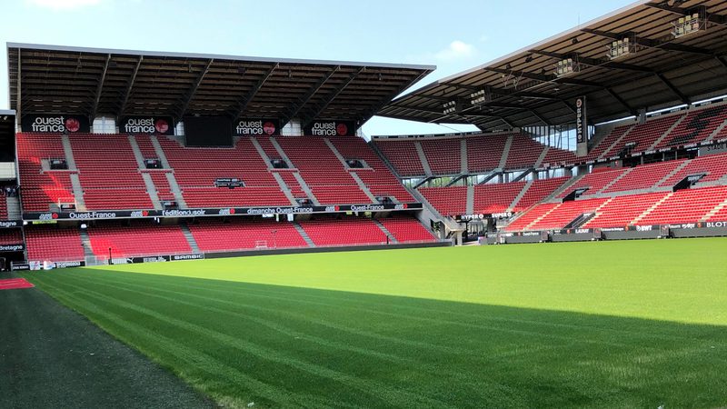 Le Stade rennais s'intéresse à Gonçalo Oliveira du Benfica pour renforcer sa défense