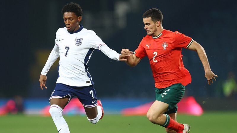 Wolverhampton erlebt Umbruch: Edwards entlassen, Pinheiro vor Wechsel zu den Wolves