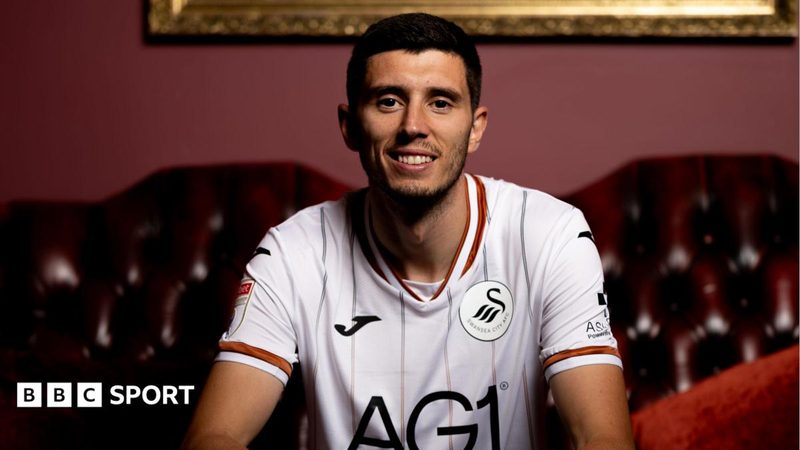Swansea City Secures Ross Stewart, Raising Questions on Vipotnik's Future