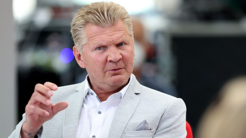 Effenberg kritisiert Guirassy und fordert mehr Einsatzzeit für Silva beim BVB
