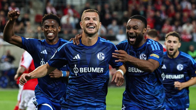 Schalke 04 meistert Pokal-Hürde gegen Hallescher FC dank Edin Dzeko