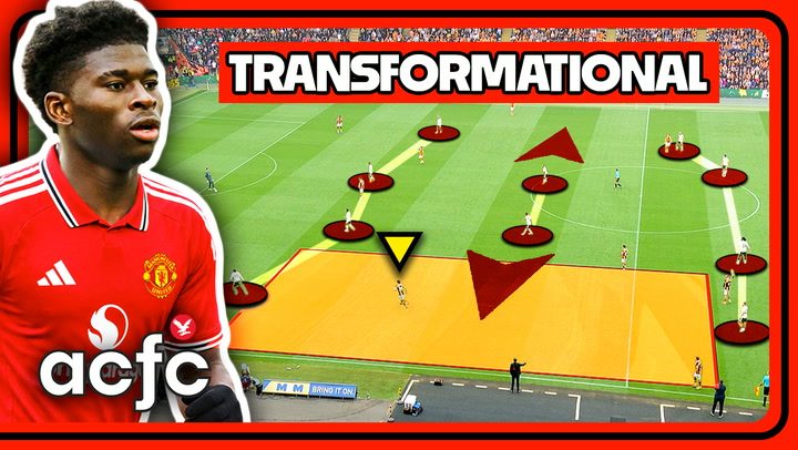 Carlos Baleba: The Midfield Solution Manchester United Desperately Needs